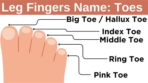 feet finger aplicacin|BBC Science & Nature